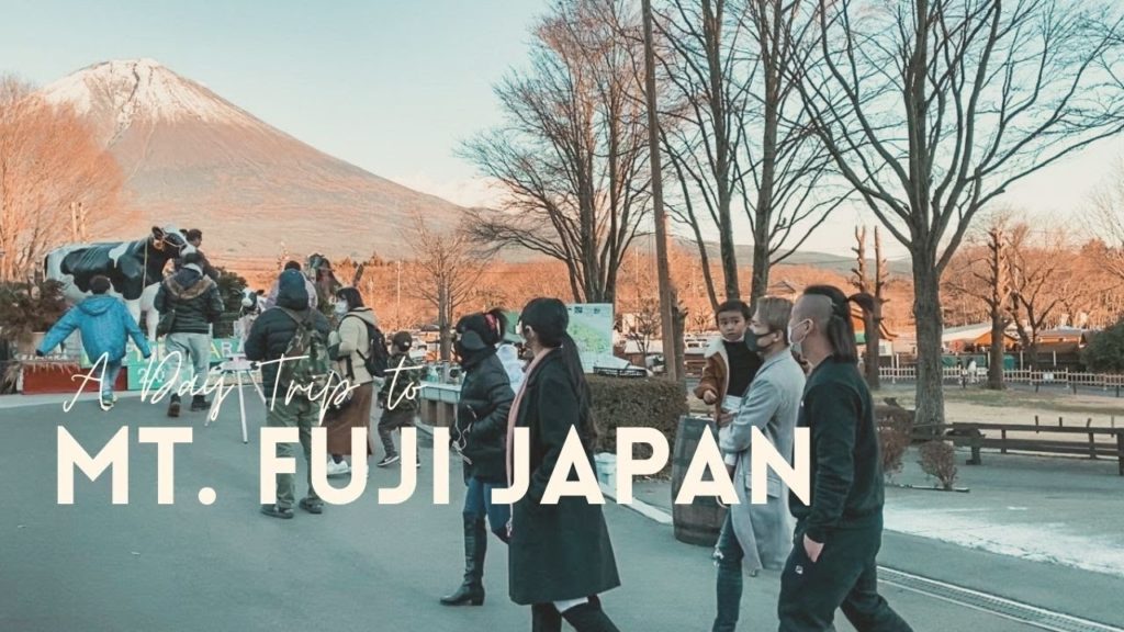 Mt. Fuji, Japan | A Day Trip To Mt. Fuji | Travel Vlog (during COVID-19!)