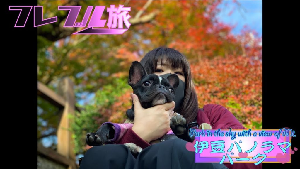 【フレブル旅4K】富士山丸見え絶景空中散歩　Deep Japan Travel Guide