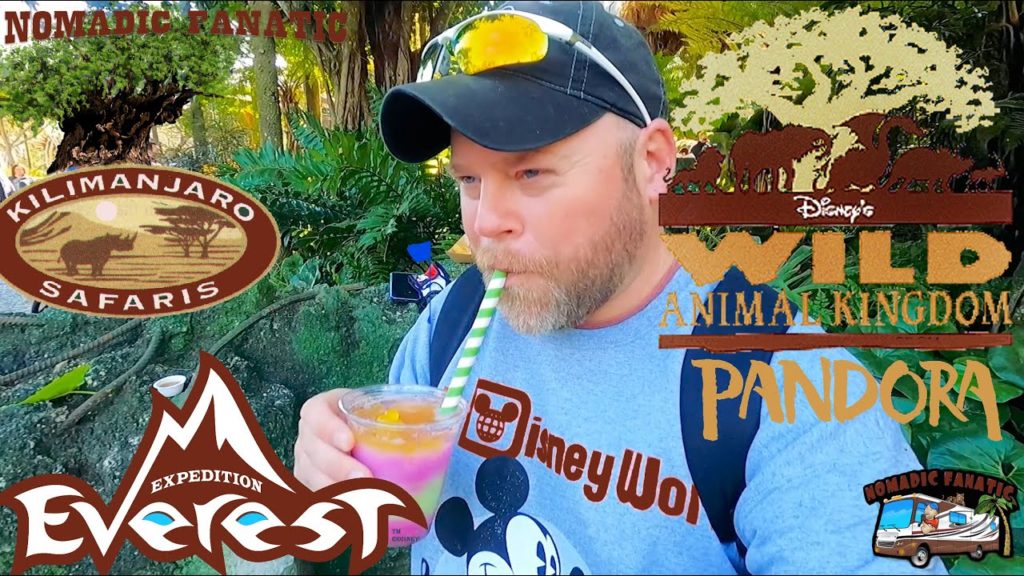 Disney World Animal Kingdom Pandemic Walk-Ons Everywhere! Disney World Animal Kingdom Pandemic Walk-Ons Everywhere!