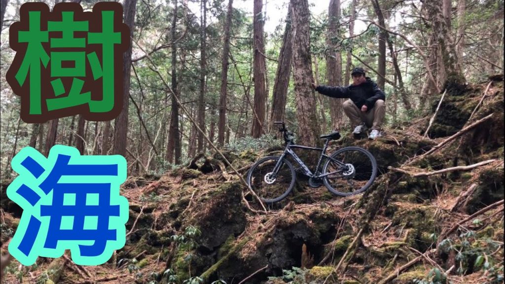 【250Km】クロスバイクで真冬の樹海行ってみた 【250Km】クロスバイクで真冬の樹海行ってみた