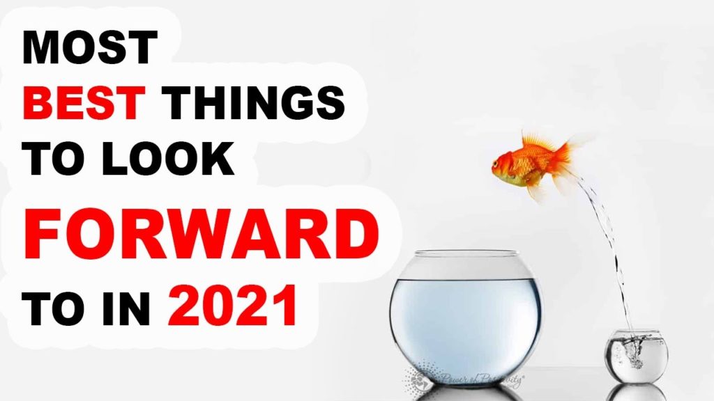 Most Best Things to Look Forward to in 2021 ! Most Best Things to Look Forward to in 2021 !