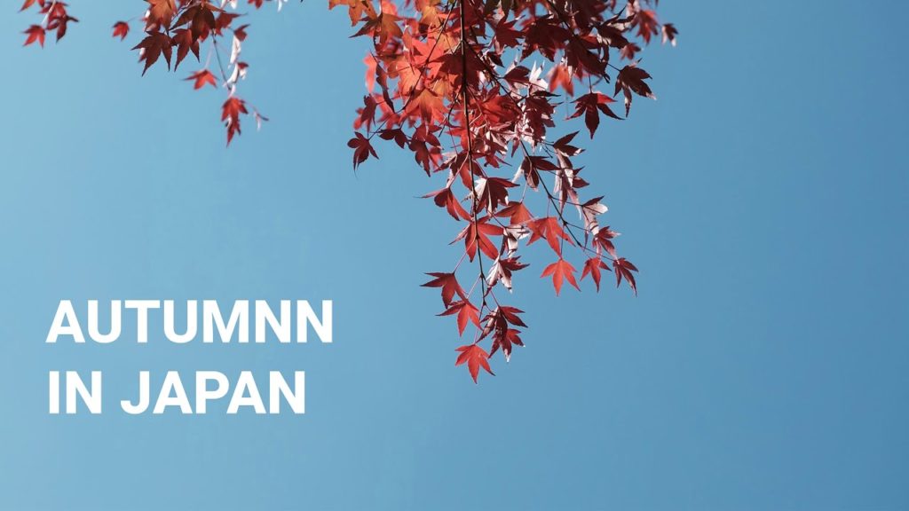 My Autumn trip to Japan - 14 Days in Japan