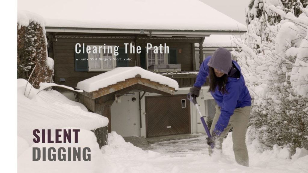#02: Clearing the Path (Silent Digging)