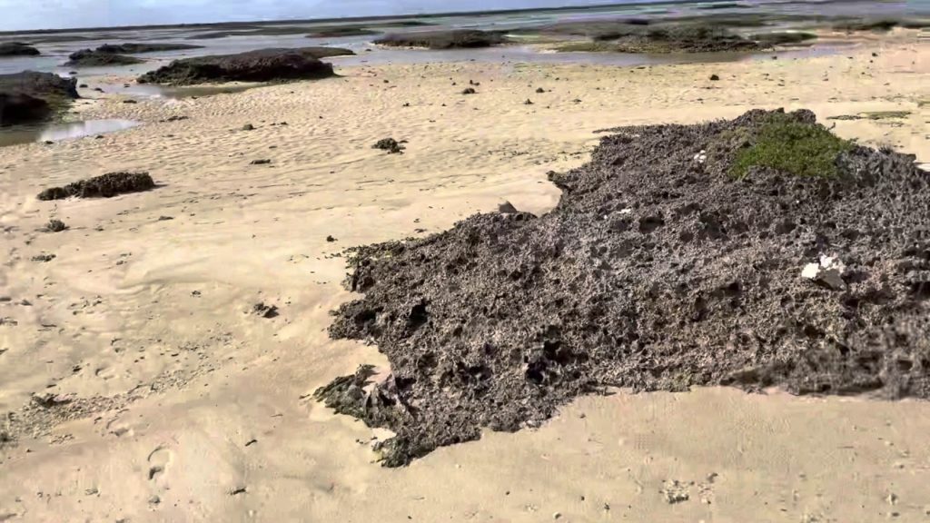 Travel Japan - Kume Island Day 2&3