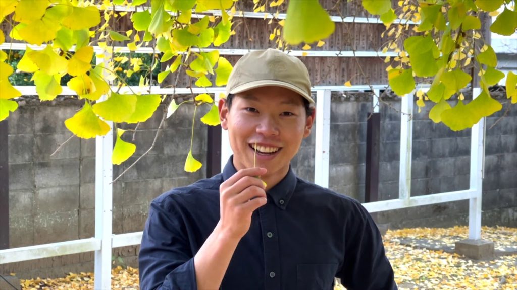 和歌山県紅葉おすすめスポット　（丹生酒殿神社のイチョウ）