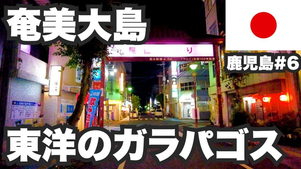 奄美大島31歳ひとり旅。東洋のガラパゴスは海あり山あり酒もあり【鹿児島#6】