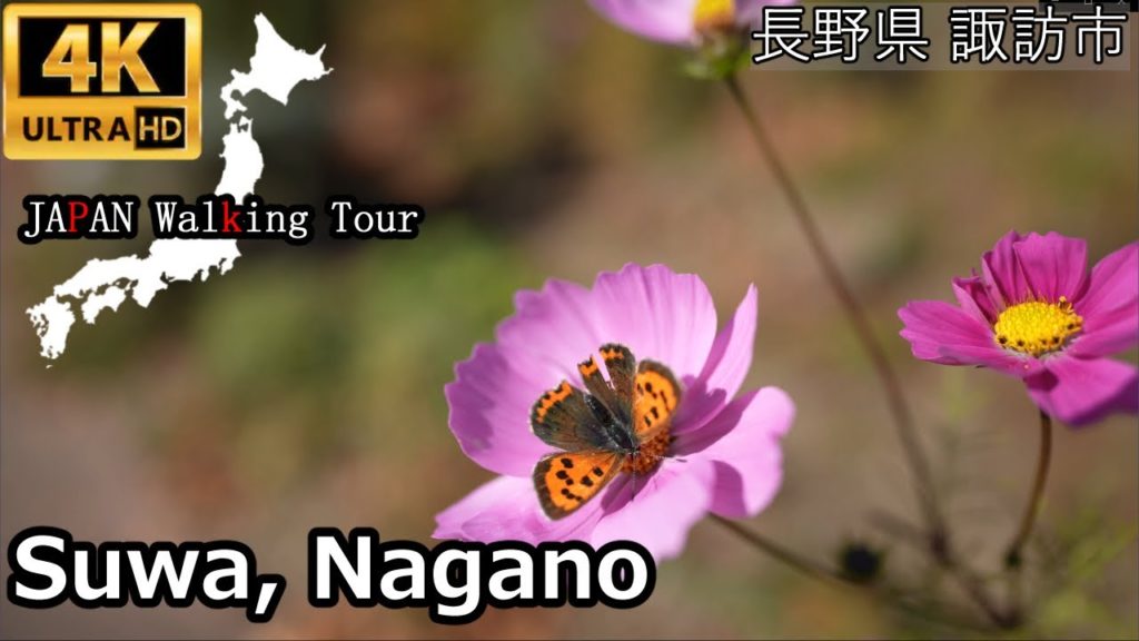 Suwa, NAGANO | November 2020 | 長野県諏訪市