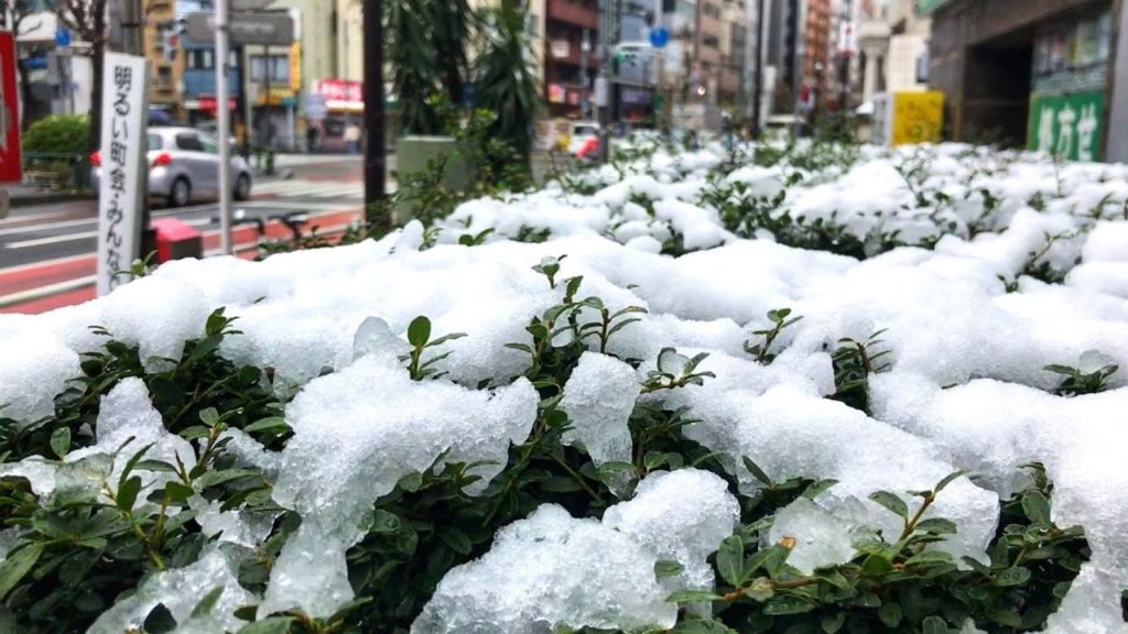 SNOW IN TOKYO JAPAN (NEW YEAR 2021) - 東京の雪