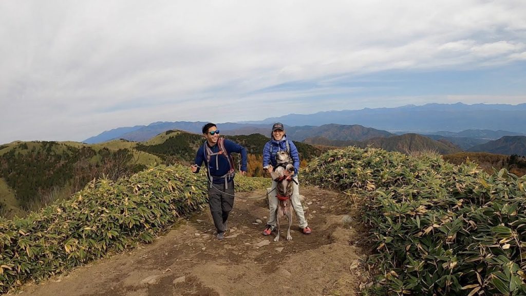 Weekend in Nagano  2020