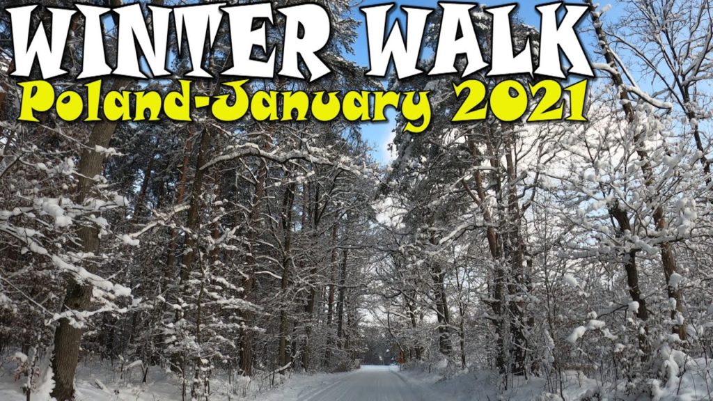 Szczepanowski Forest Winter Walk – Spacer po Lesie Szczepanowskim – Winter 2021 – Poland (4K) Szczepanowski Forest Winter Walk - Spacer po Lesie Szczepanowskim - Winter 2021 - Poland (4K)