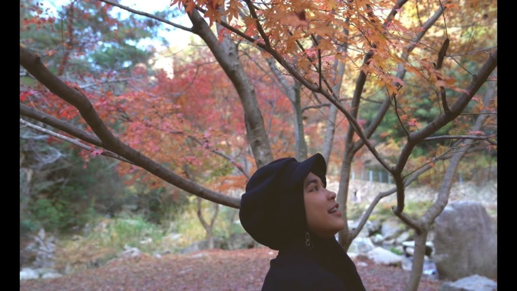 2020 Autumn tour in Okayama (Feat. Icazahra) 2020 Autumn tour in Okayama (Feat. Icazahra)