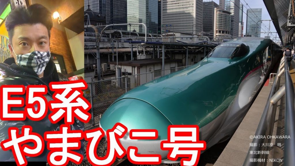 東北新幹線やまびこ号(E5系)利用！宮城県仙台市⇒東京！東京駅で東海道新幹線に乗り換えTohoku-Shinkansen from Sendai city to Tokyo,Japan