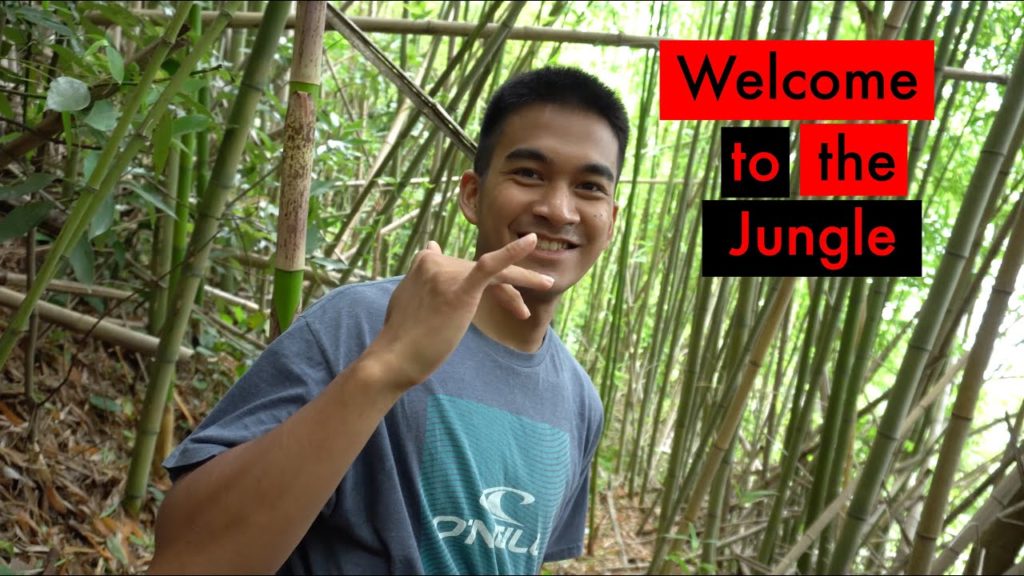 Hidden Hiking Spot in Atami, Japan (Atami Vlog Part 2)