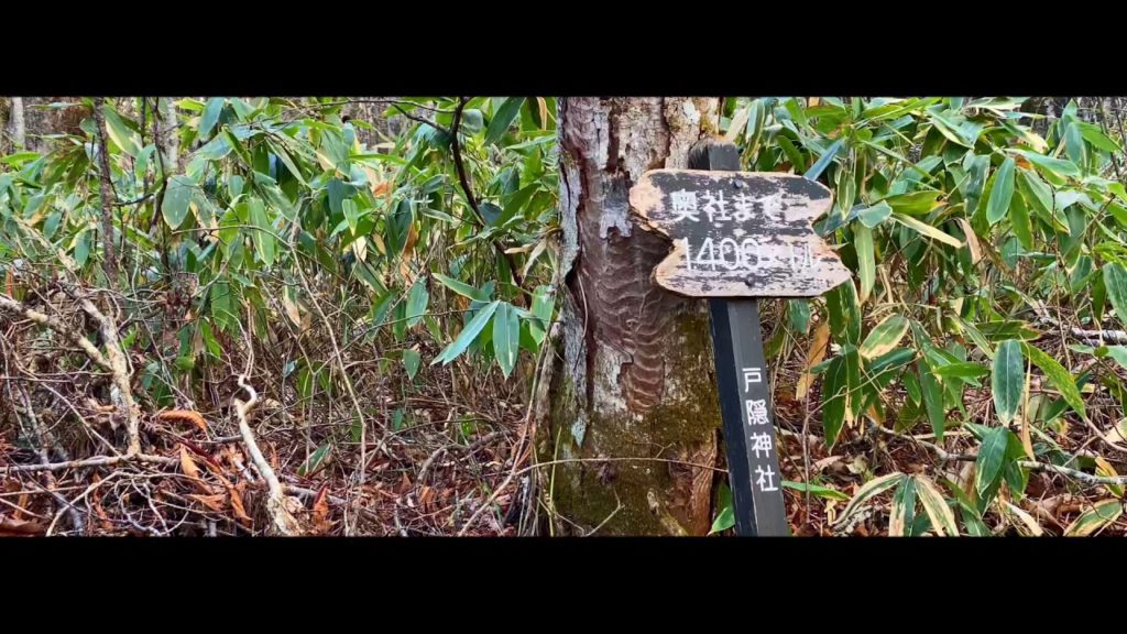 travel japan 長野県　戸隠神社 Nagano Togakushi Shrine