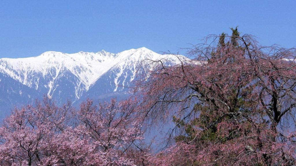 HOT NEWS Tagawa 2017 Best Of Tagawa Japan Tourism HOT NEWS Tagawa 2017 Best Of Tagawa Japan Tourism