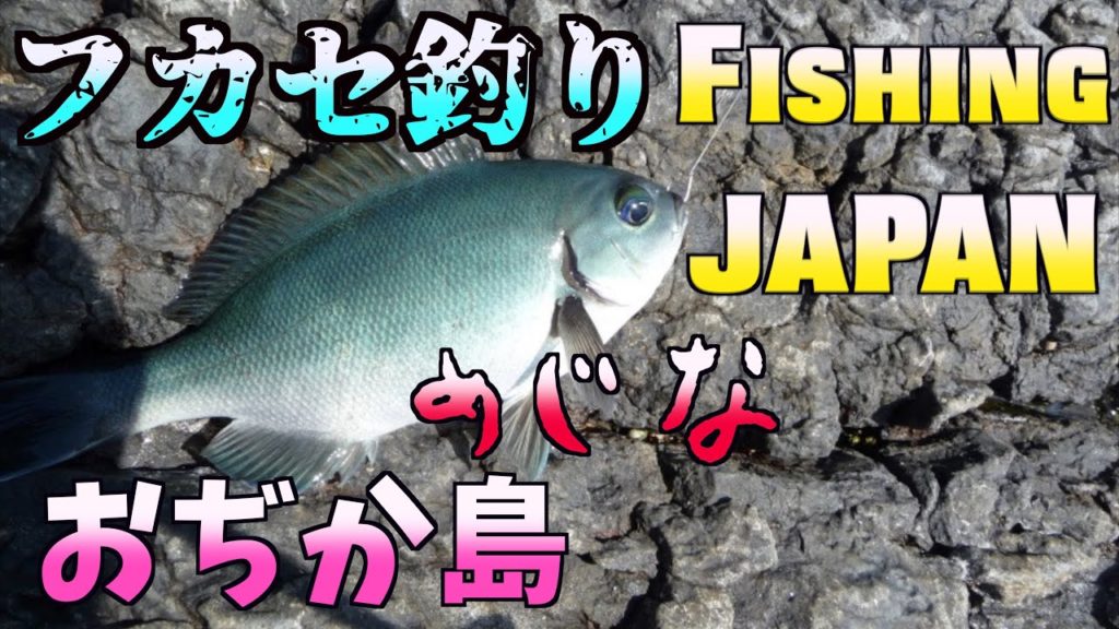 グレ釣りを、五島列島おぢか島でエンジョイする!初心者アングラーでも大丈夫!【フカセ釣り】 グレ釣りを、五島列島おぢか島でエンジョイする!初心者アングラーでも大丈夫!【フカセ釣り】