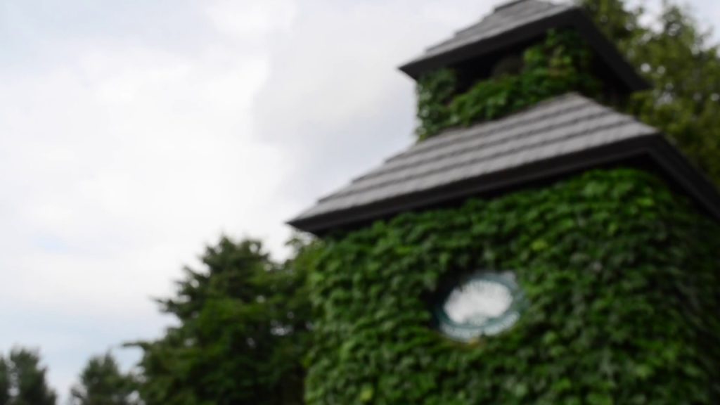 [Japan vlog] #TravelwithKyuto FURANO & BIEI