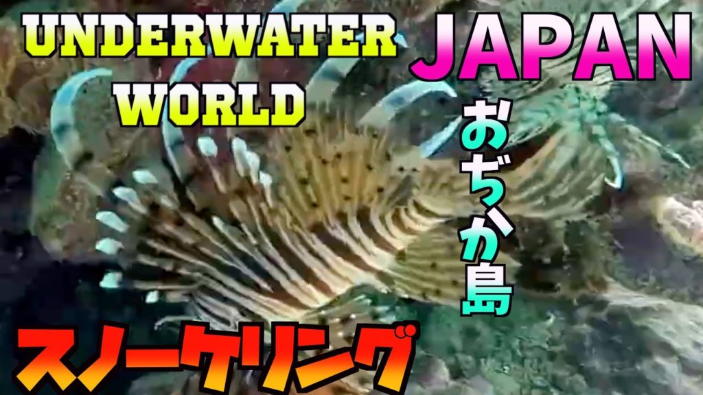 おぢか島の海中パラダイスへ、スノーケリングで楽しむ島旅 Ojika's Underwater World 4K【スノーケリング、離島移住】