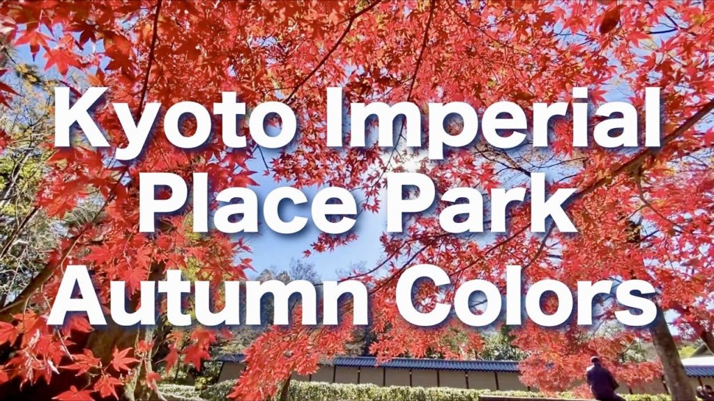 Autumn Colors at Kyoto Imperial Palace Park | Japan Trip |