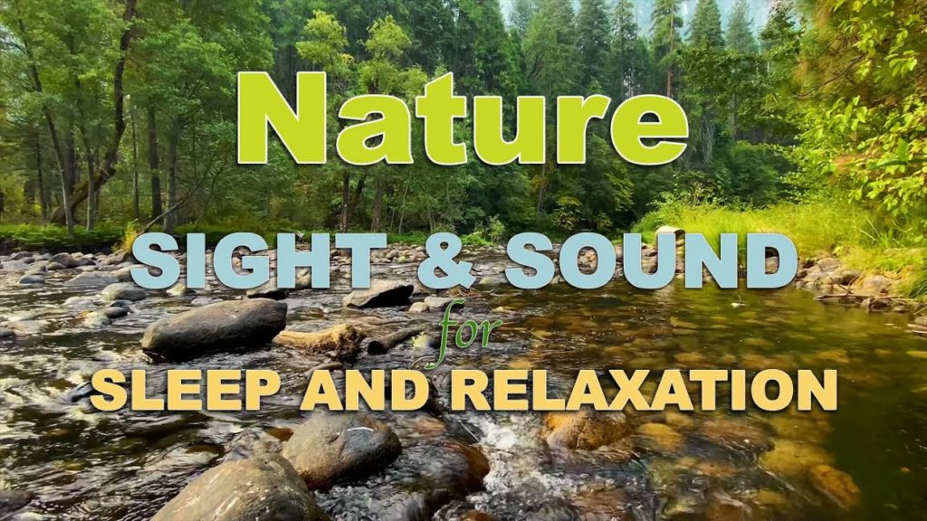 Nature Sounds of Bird and Stream for Sleep and Relaxation 4K