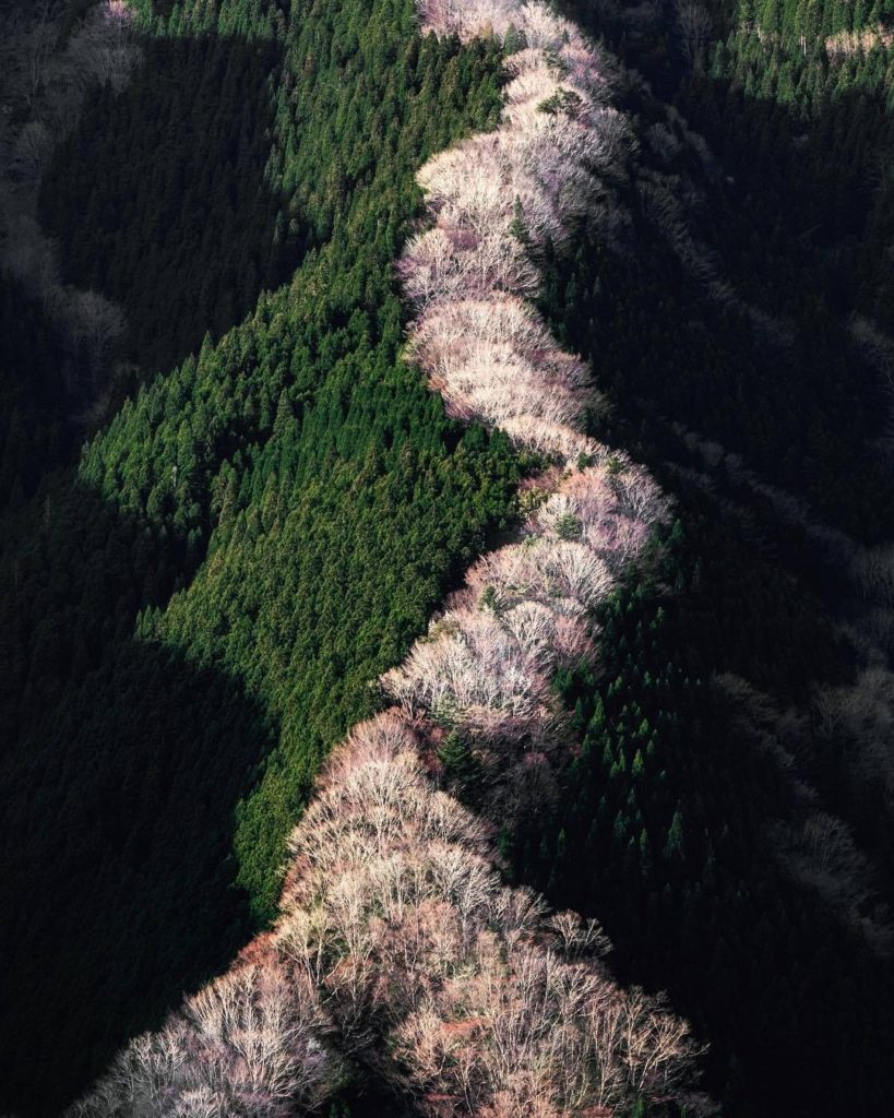 Visit Japan: What a beautiful line of pink along those lush green mountains! Namego Valley in… What a beautiful line of pink along those lush green mountains! Namego Valley in...