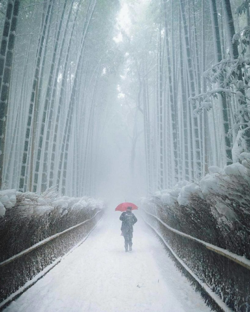 Visit Japan: What could be more magical than Kyoto’s mesmerising Arashiyama Bamboo Grove cove… What could be more magical than Kyoto’s mesmerising Arashiyama Bamboo Grove cove...