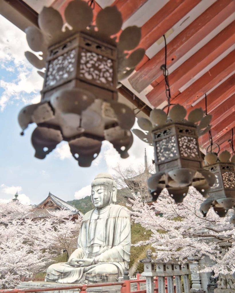 We're going to try and share some of our favorite sakura spots before the season...