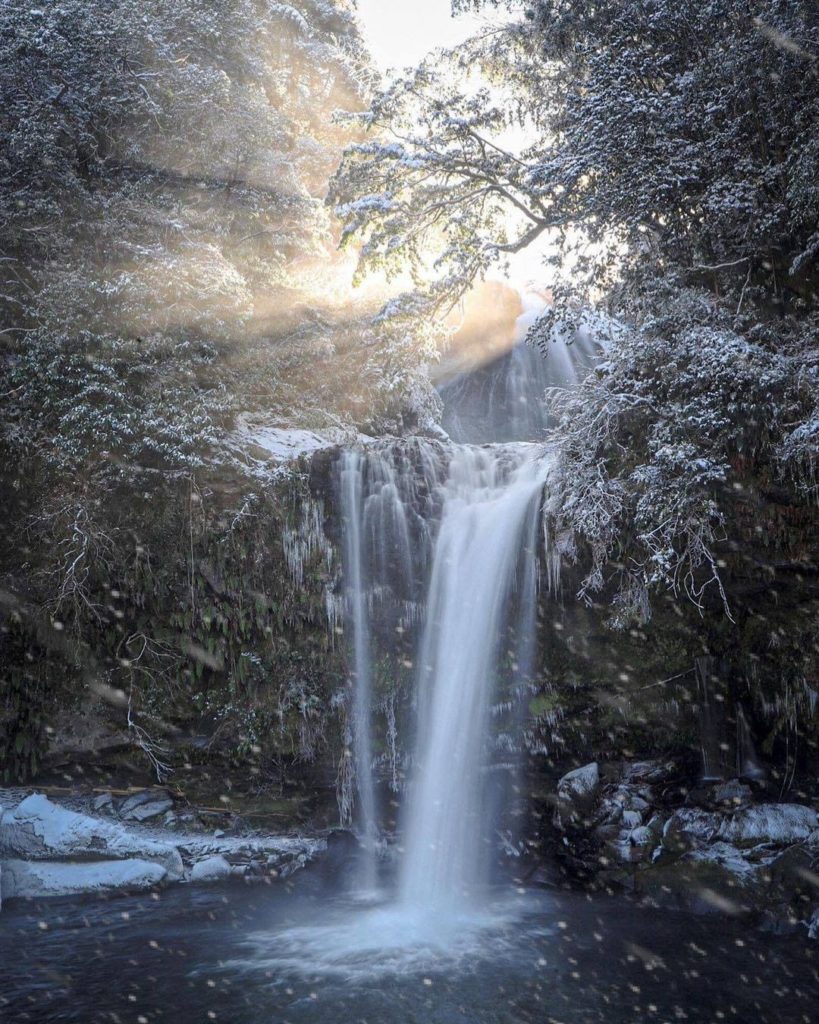 What stunning waters! Jion Falls in Oita Prefecture is a two-tiered waterfall wi...