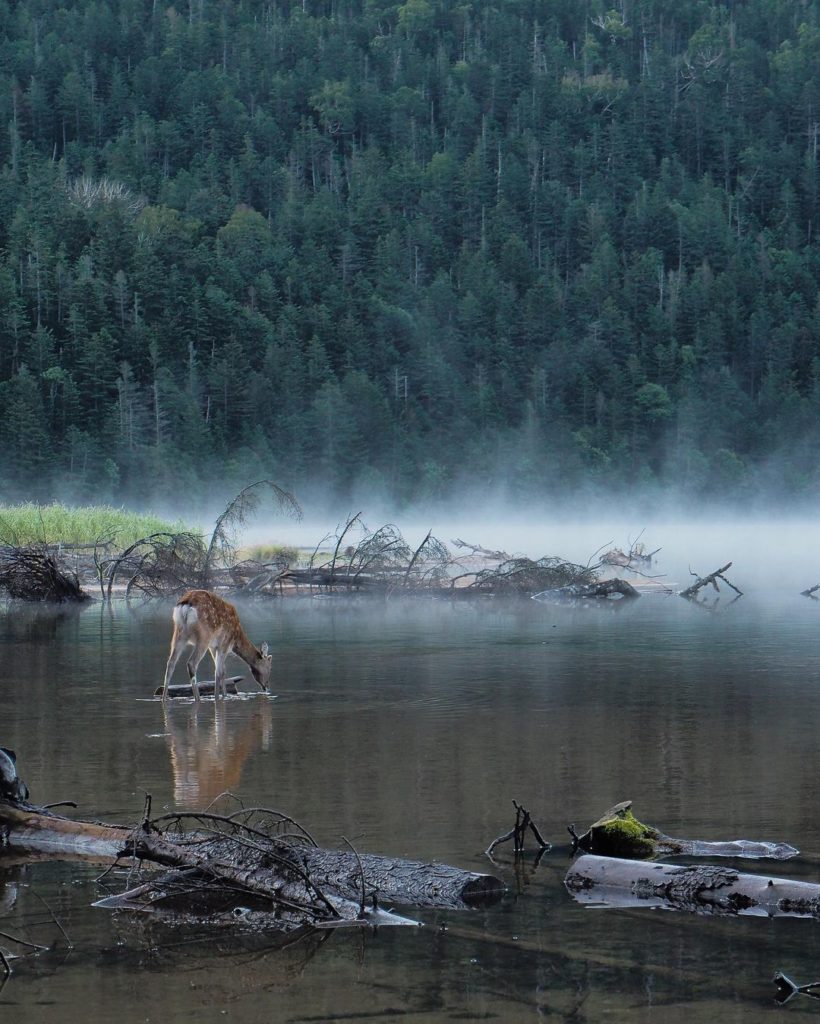 Daisetsuzan National Park in Hokkaido is made up of a series of serene mountain ...