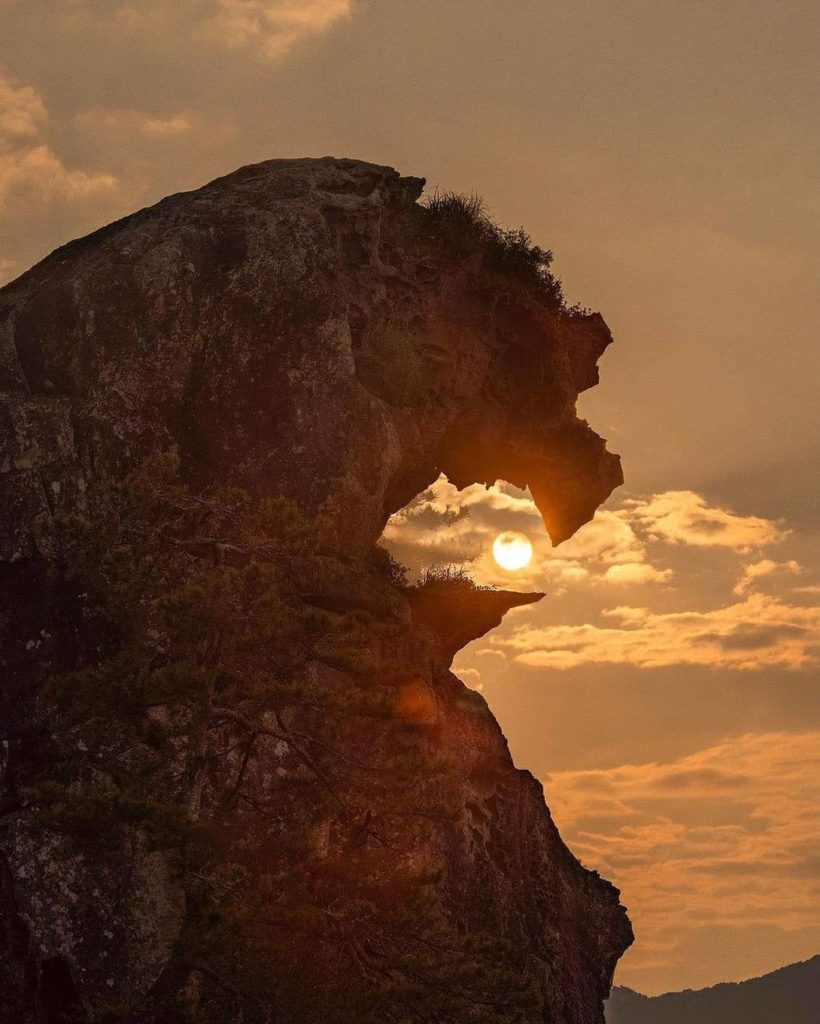 ROAR!  Can you make out the silhouette of a lion's head, mouth open, roaring tow...
