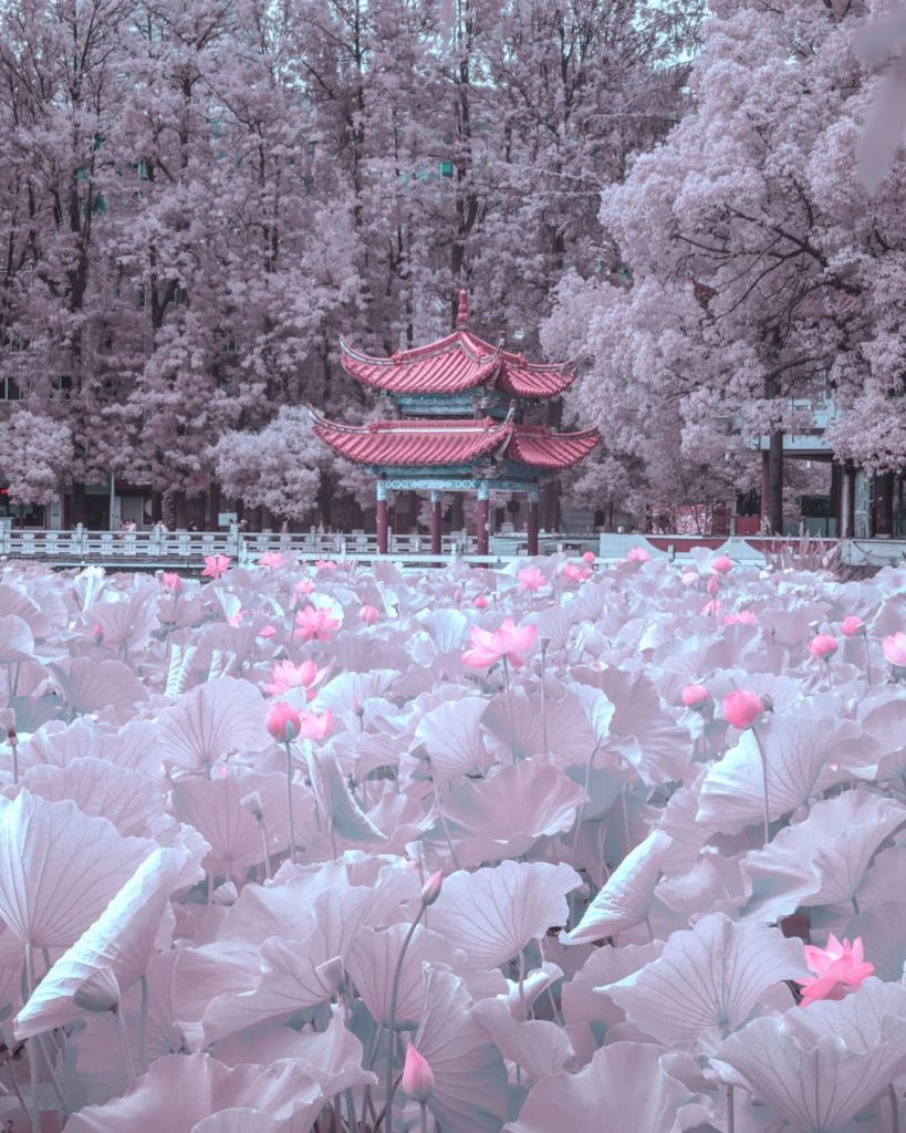 Sci-fi Neon Pink X Ancient Chinese style ...