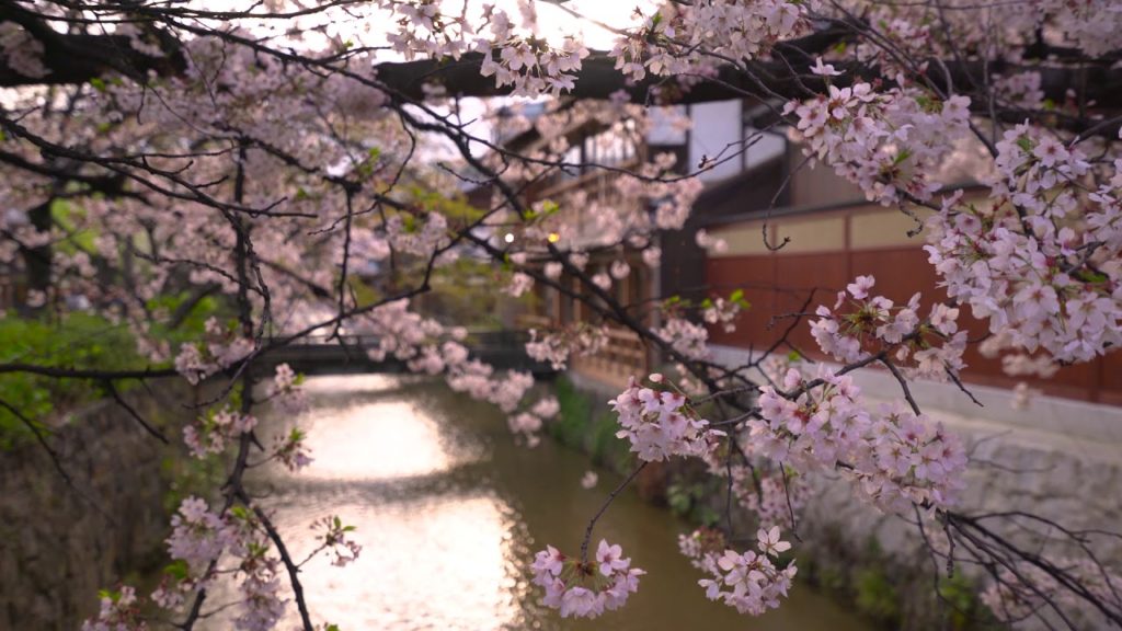 Gion, the Unmissable Must-See of Kyoto