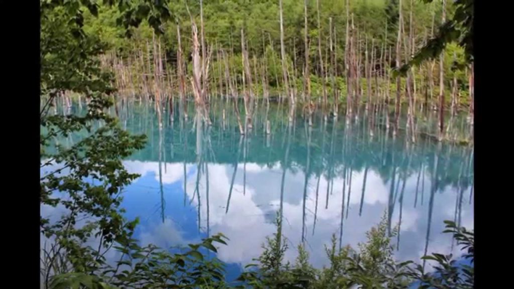 Hokkaido Japan Biei Furano　２０１３年 北海道の旅（８） 美瑛・上富良野