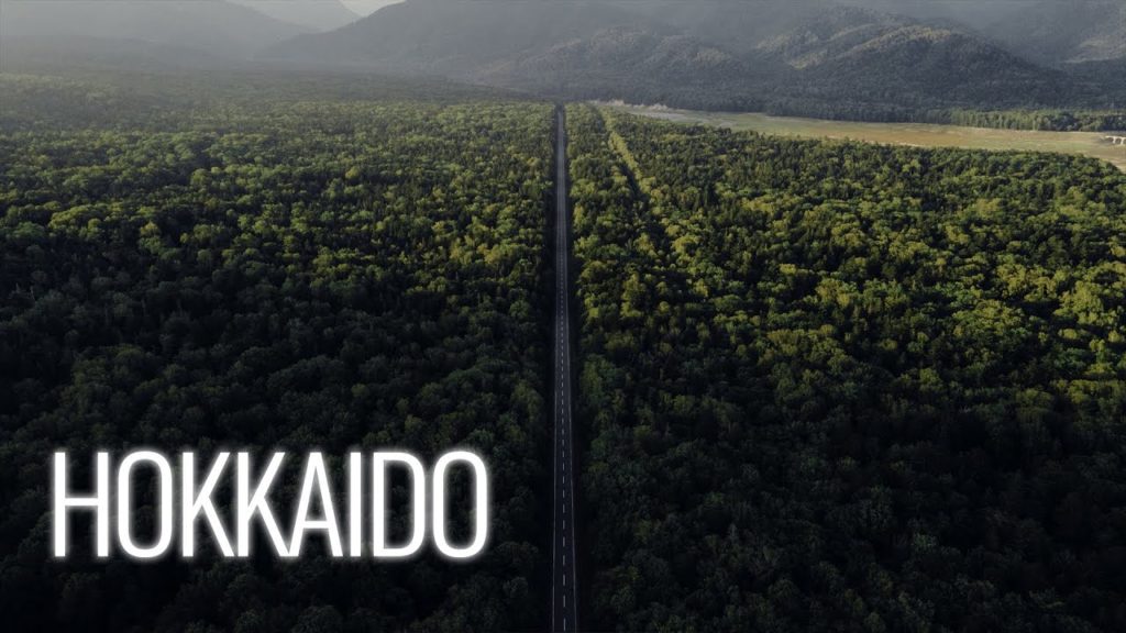 Hokkaido Adventure | Cinematic travel Video shot on Sony α7III & Mavic air2