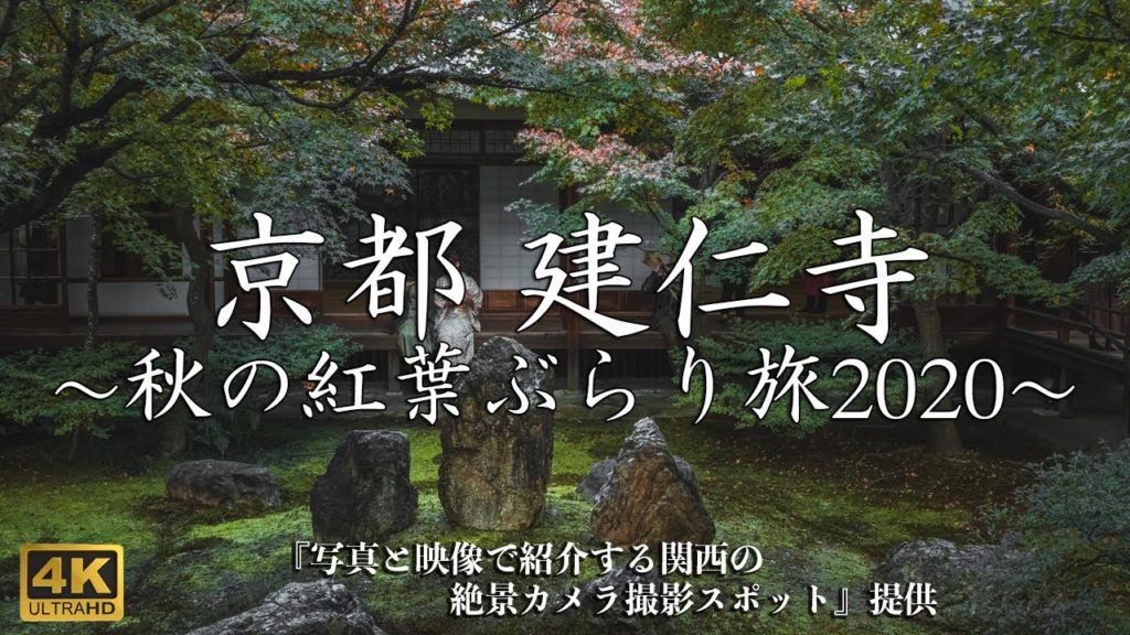 【京都府】 建仁寺 秋の紅葉ぶらり旅  | JAPAN KYOTO AUTUMN TRAVEL 2020【Dji pocket2】