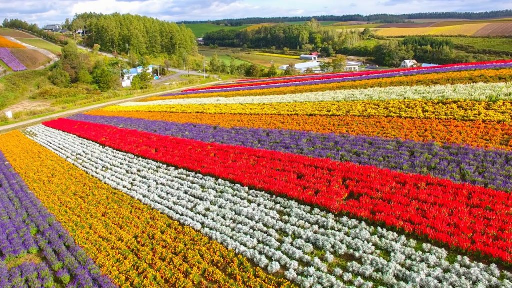 “Otaru Kourakuen” YADO PV mini : Tourist Spots 05/JAPAN : 宿PV mini おたる宏楽園 美瑛四季彩の丘 “Otaru Kourakuen” YADO PV mini : Tourist Spots 05/JAPAN : 宿PV mini おたる宏楽園 美瑛四季彩の丘