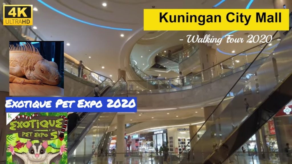 Jakarta 4K Walking Tour – Kuningan City Mall – Exotique Pet Expo Jakarta 4K Walking Tour - Kuningan City Mall - Exotique Pet Expo