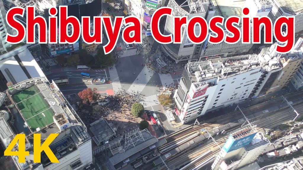 [4K/UHD] SHIBUYA SKY  (Shibuya Crossing) Shibuya Scramble Square [Japan Travel Guide]