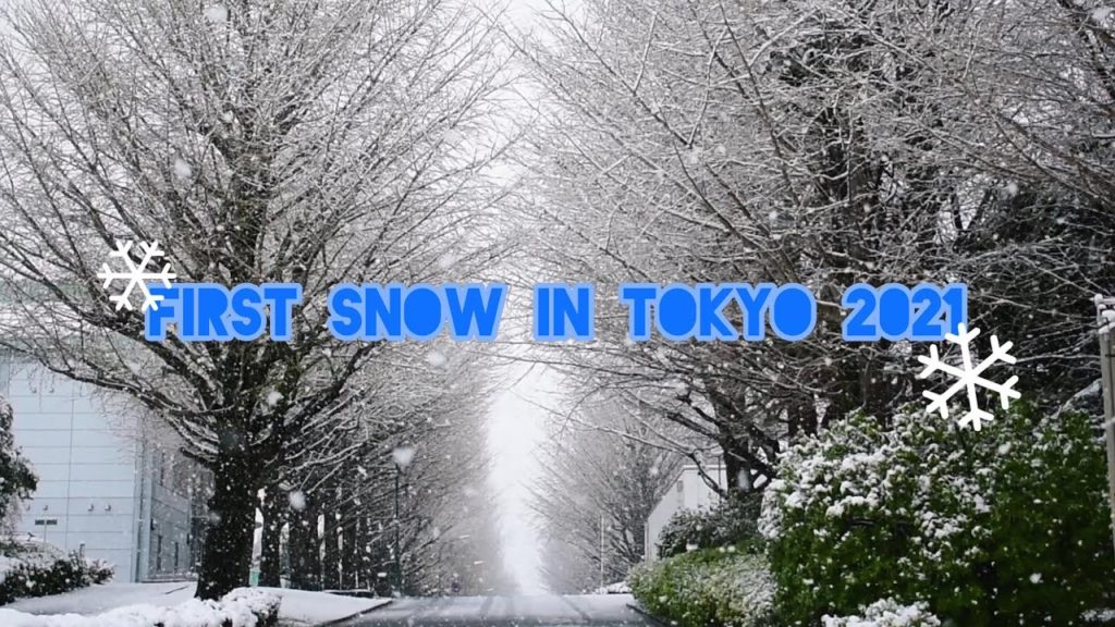 First Snow in Tokyo 2021 | 東京の降雪