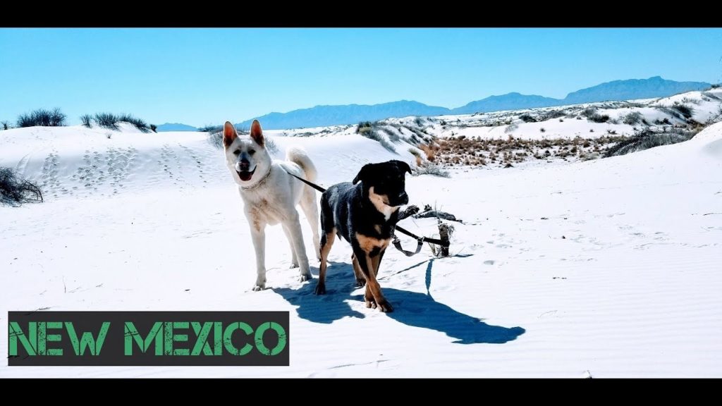 First Travel Vlog| Las Cruces, NM