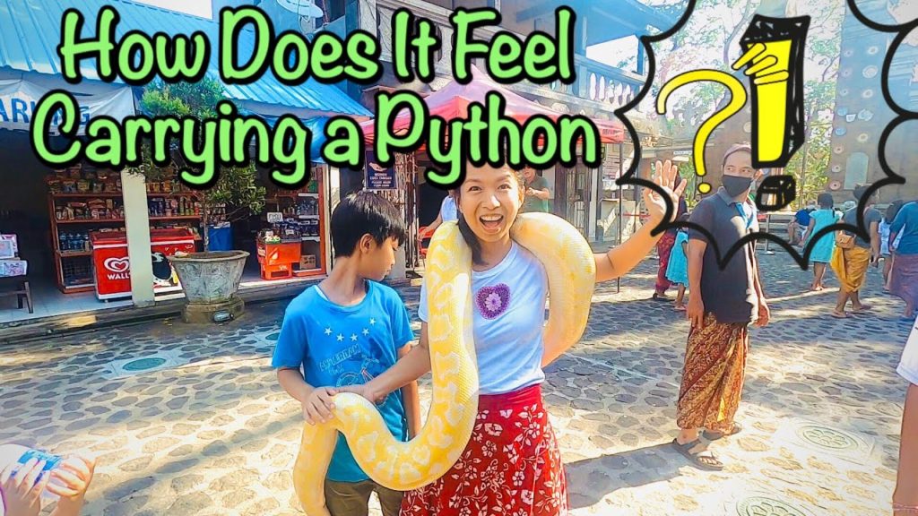 Mama Pemberani | Gak Takut sama Ular, Gak Geli sama Iguana Mama Pemberani | Gak Takut sama Ular, Gak Geli sama Iguana