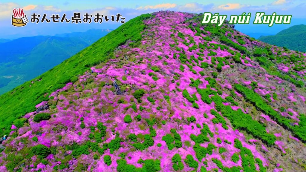 Tỉnh Oita Japan – vùng đất của những suối nước nóng Tỉnh Oita Japan - vùng đất của những suối nước nóng