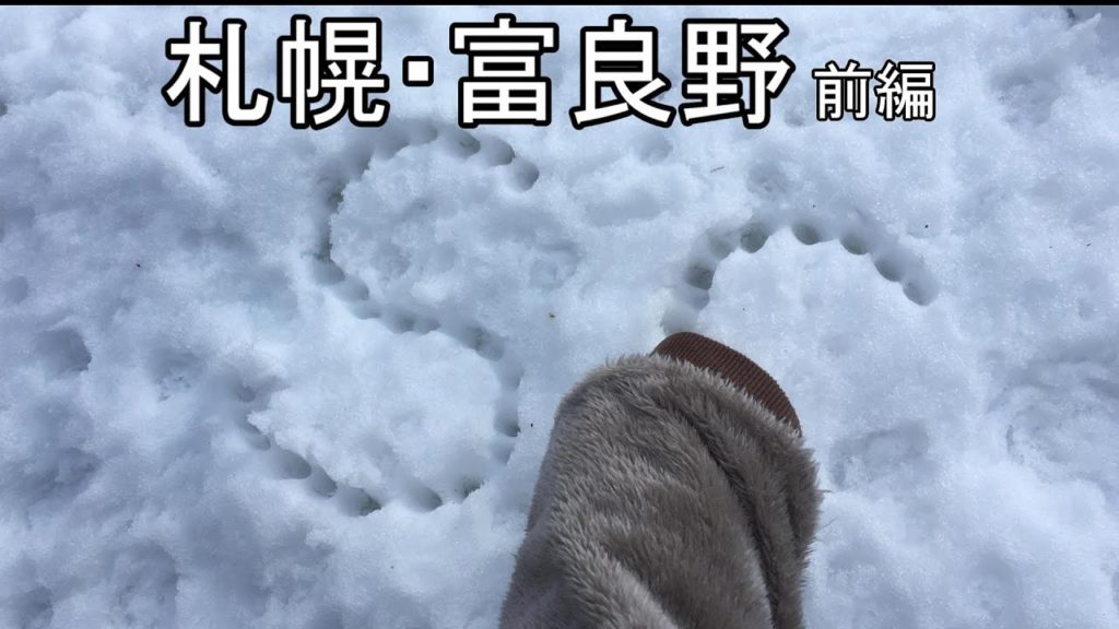 札幌・富良野 名所名店巡り　前編 Sapporo / Furano Famous Store Tour Part 1