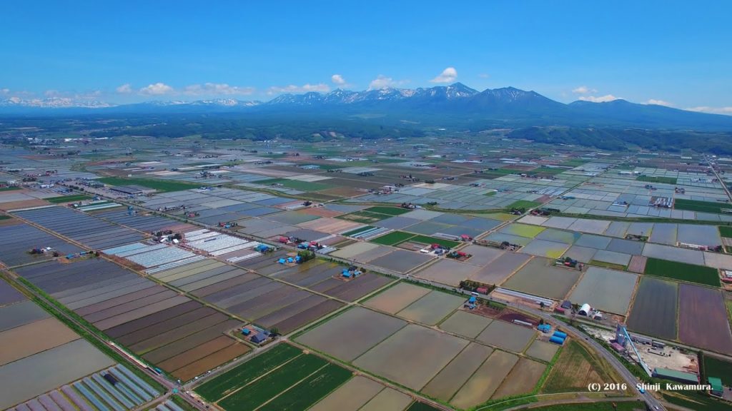 DRONE×HOKKAIDO 4K　富良野の空・初夏　Furano, Hokkaido of early summer