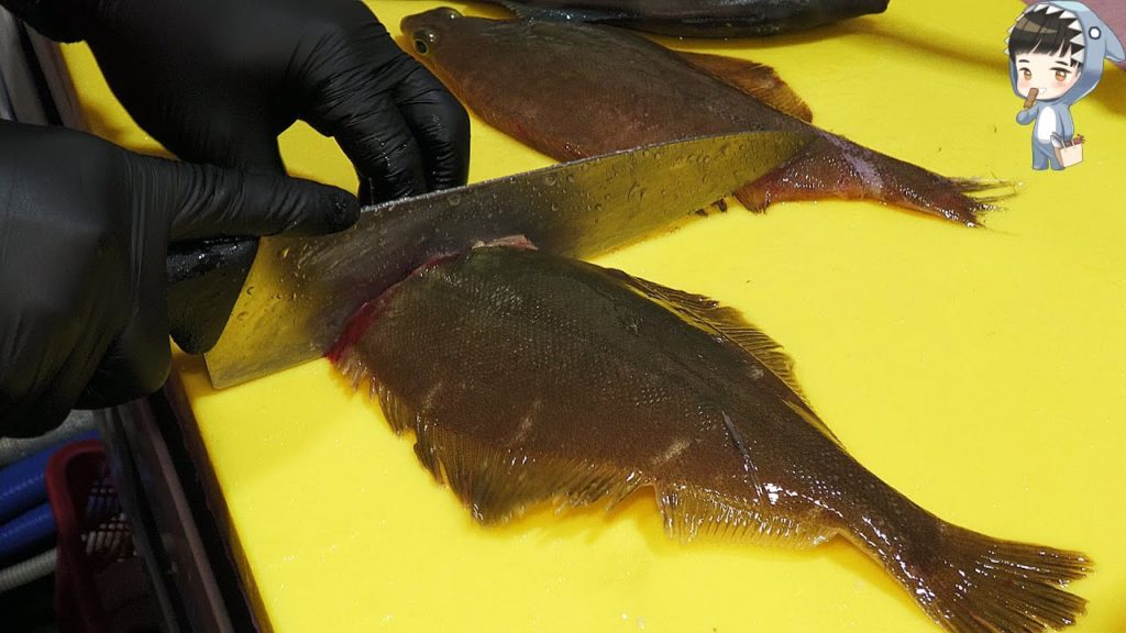 KOREAN STREET FOOD ASSORTED SASHIMI POHANG KOREA 포항 송도 활어회센터 모듬회 090120