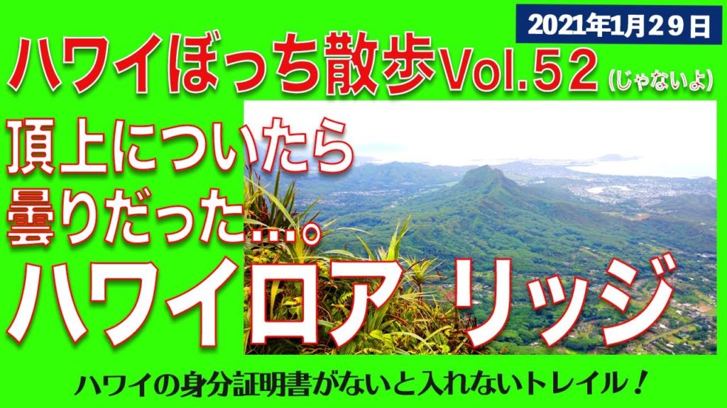 4K【ハワイ旅行】難関ハワイロア リッジ トレイルに挑戦したら、頂上は曇りちーん