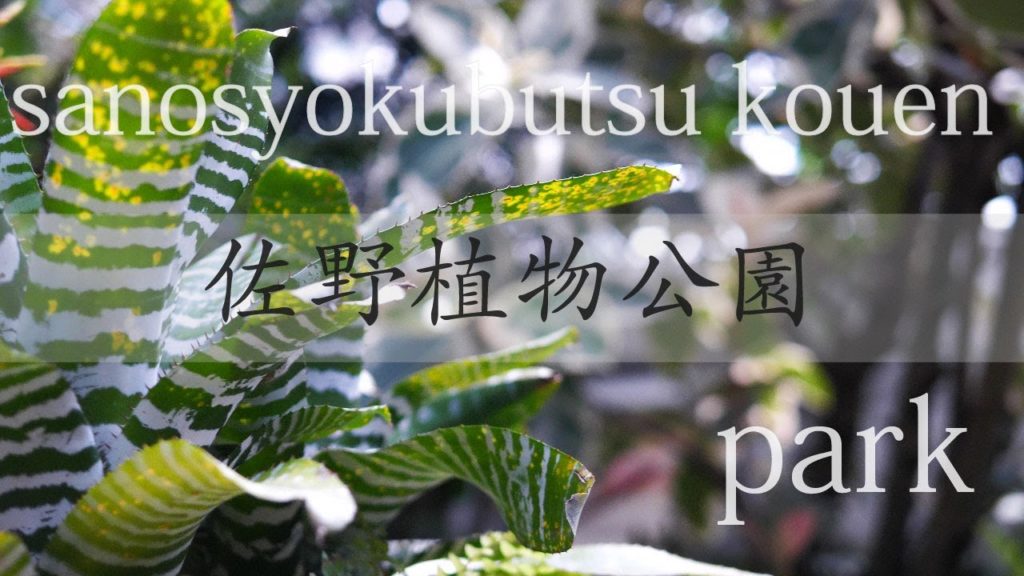 【oita travel】sanosyokubutsu kouen/佐野植物公園[park]oita,japan