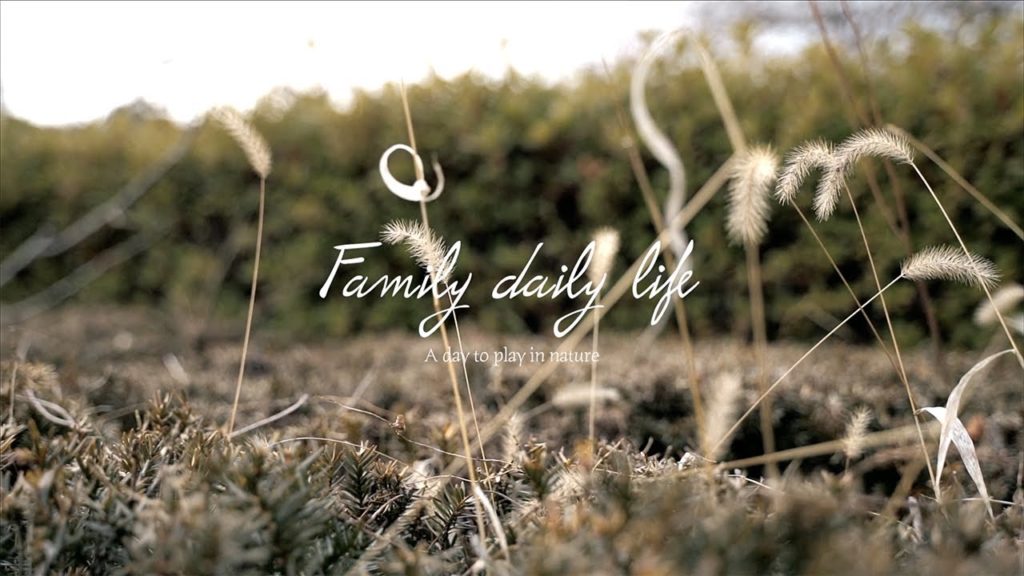 NATURE PARK | Cinematic Vlog Shot on A7Ⅲ / Tamron28-75mm NATURE PARK | Cinematic Vlog Shot on A7Ⅲ / Tamron28-75mm