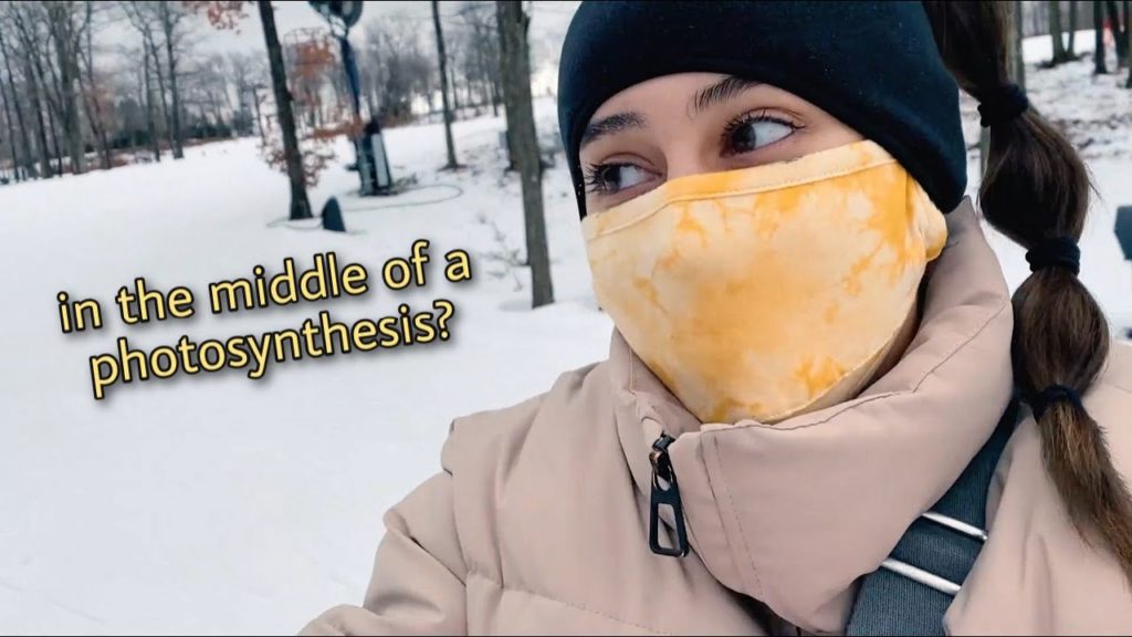 taking a ski trip in the middle of a panini press | rosalie