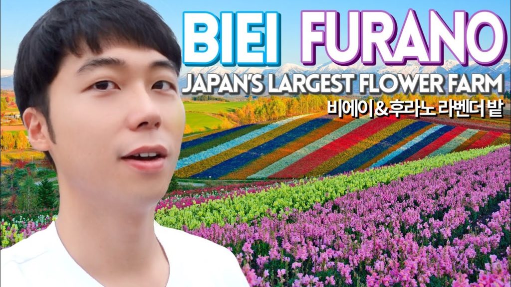 Biei&Furano(비에이 후라노) | Japan's Largest Lavender Farm in Hokkaido (홋카이도 여행 브이로그) Biei&Furano(비에이 후라노) | Japan's Largest Lavender Farm in Hokkaido (홋카이도 여행 브이로그)